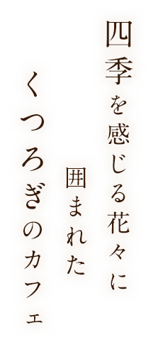 庭を眺めながら