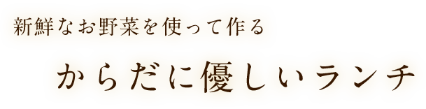 からだにやさしいランチ